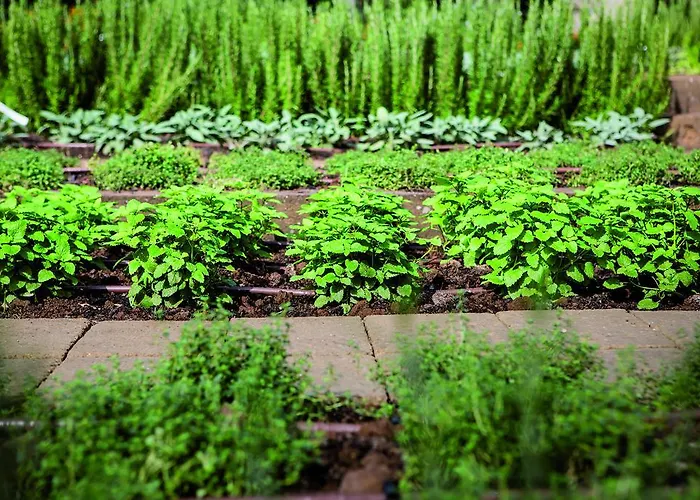 Il Cantico St. Peter Hotel 3*