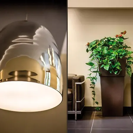 Il Cantico St. Peter 3* روما