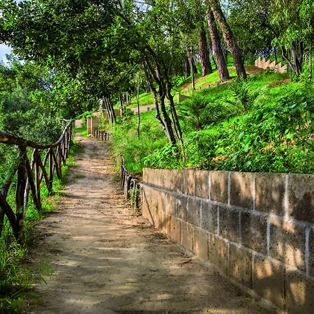 Il Cantico St. Peter